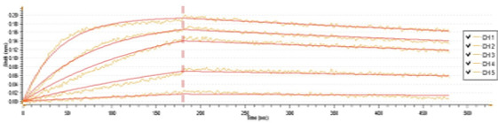 BLI sensorgrams for five antibody variants across multiple antigen concentrations.