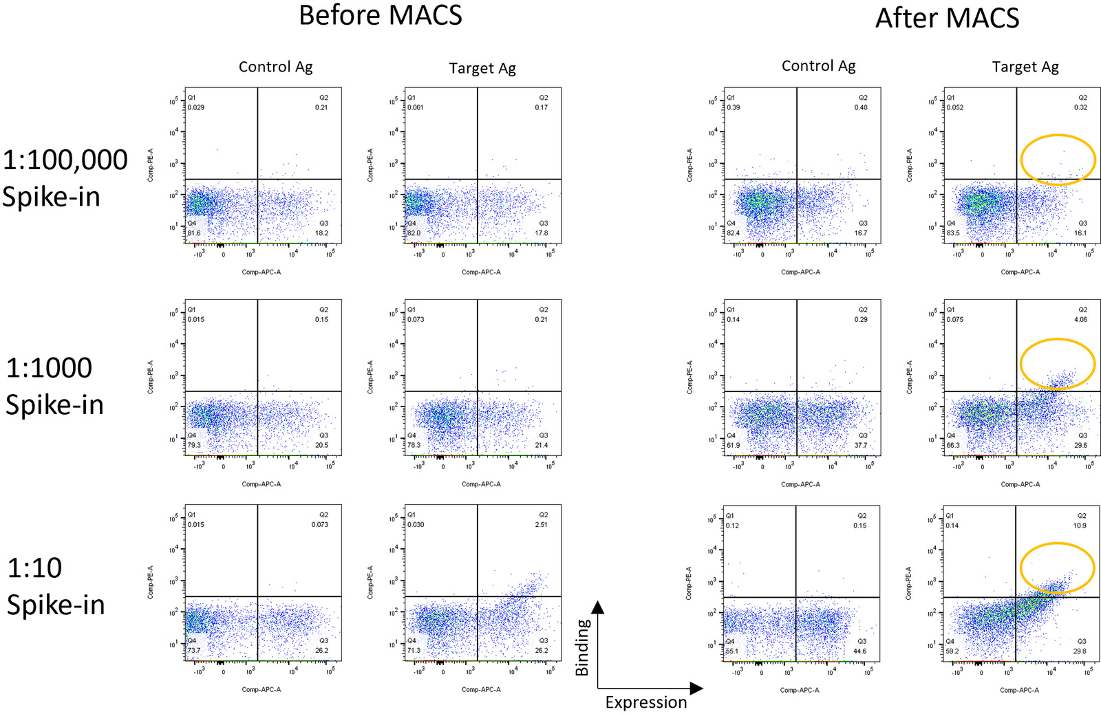 Flow cytometry dot plots comparing control and target antigen staining before and after three rounds of MACS enrichment at three spike-in ratios.
